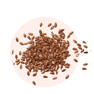 Visuels ingredients page glossaire huile de lin