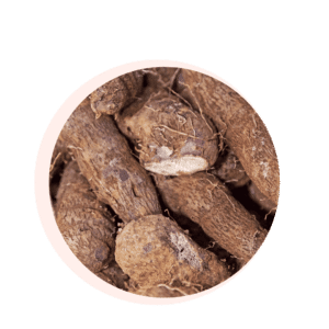 Visuels ingredients page glossaire yam