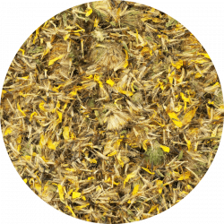 Arnica