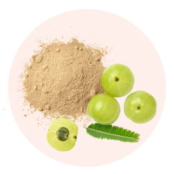 Poudre d'Amla