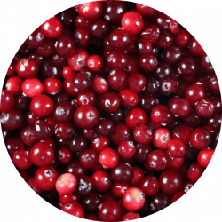 cramberry